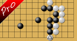 weiqi Hane on the first line