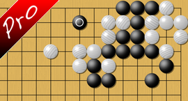 weiqi Endgame we do not know